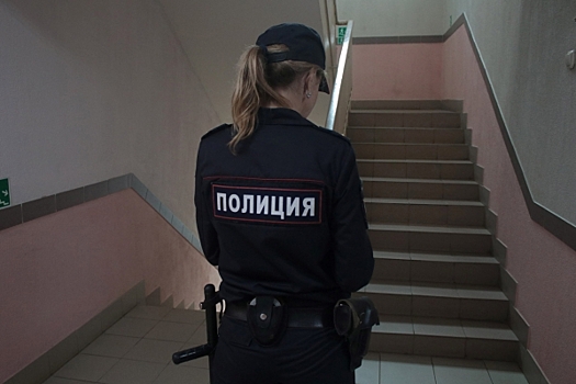 Первоклассник из Салавата избил уличного кота: что известно о состоянии животного