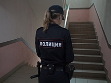 Ленобласть хочет объединиться с Петербургом для борьбы с кадровым голодом в полиции