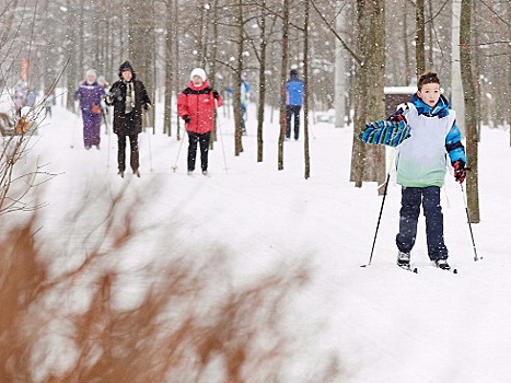 Всепогодные лыжни появятся на территории парка «Сокольники»