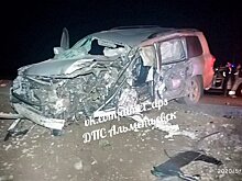 В Татарстане в аварии с КАМАЗом погиб водитель внедорожника