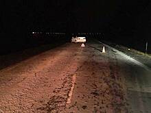 Водитель «Тойоты» сбил двух пешеходов под Новосибирском