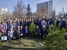 В челябинском сквере Чингиза Айтматова представители киргизских диаспор со всей России посадили сосны