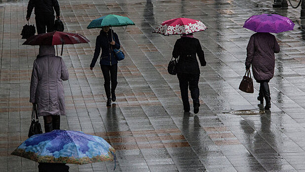 Пункты проката зонтов могут появиться в столице
