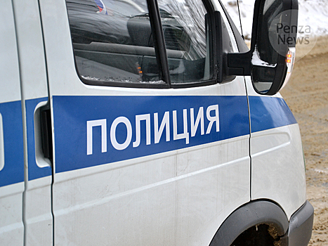 В Пензенском районе возбуждено уголовное дело по факту незаконной рубки 11 кленов