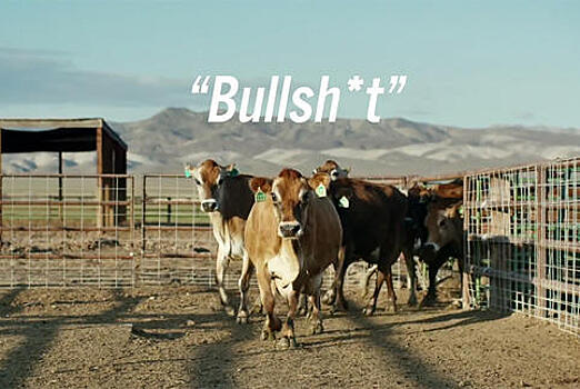 «Тойота» рассказала о пользе навоза для седана Mirai