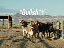 «Тойота» рассказала о пользе навоза для седана Mirai