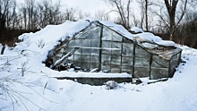 В Новосибирске произошло массовое обрушение дачных теплиц