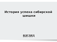 История успеха сибирской шишки