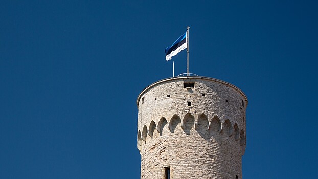 В Эстонии объяснили задержку с сообщением о прибытии Зеленского