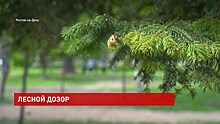 В ростовском парке Островского стартовал экоквест &laquo;Лесной дозор&raquo;