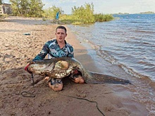 Фото: На Волге пойман сом человеческого роста