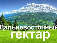 В будущем россияне смогут получать дальневосточный гектар в режиме он-лайн