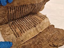 В Норвегии нашли книгу XIII века в обложке из тюленьей шкуры