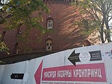 "Чтобы приносила денежку": башню "Кронпринц" планируют забрать у ГЦСИ