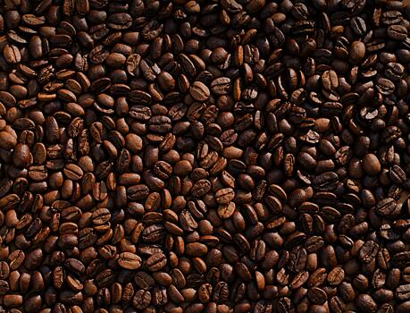 Ученые вырастили кофе «в пробирке»