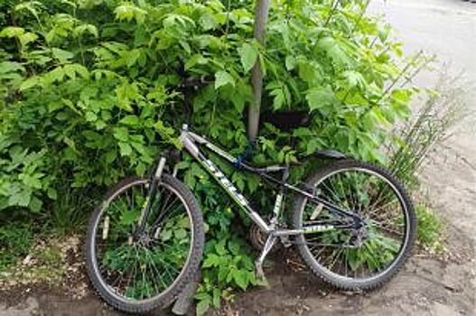 70-летний велосипедист погиб в аварии на дороге «Тамбов – Шацк»