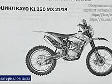 Курянина оштрафовали на 30 тысяч рублей за передачу спортбайка несовершеннолетнему сыну