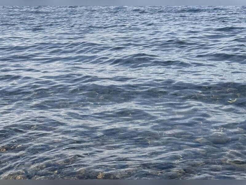 На реке Аргунь повысился уровень воды