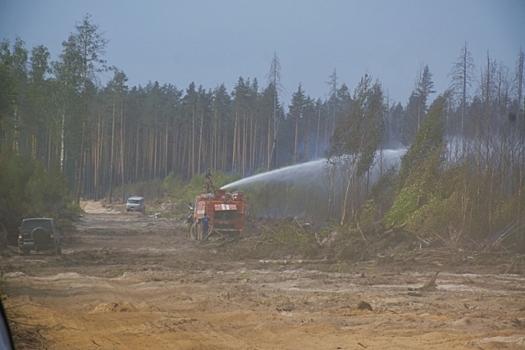 Пожар в заповеднике Мордовии приблизился к границе с Нижегородской областью