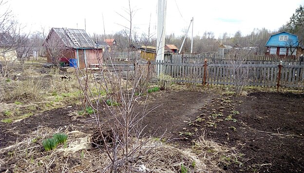Что необходимо сделать на участке в мае