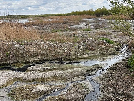 Дзержинский водоканал подозревают  в загрязнении речки Гнилички