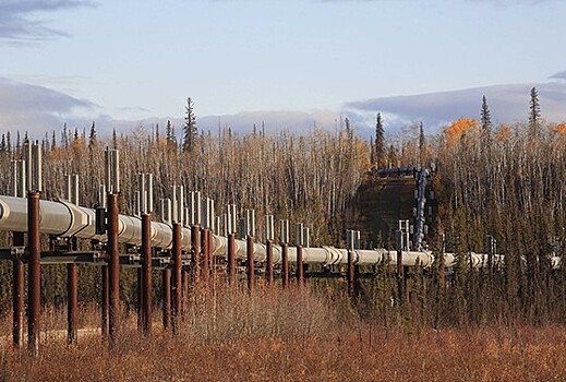 Разлив нефти зафиксировали в Татарстане