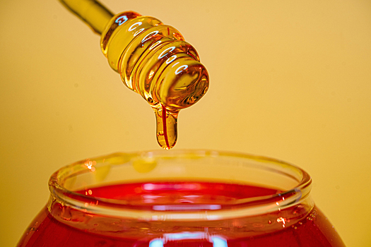Чем славится алтайский мед: 5 полезных свойств