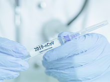 В грибах обнаружили вещества, способные убить коронавирус