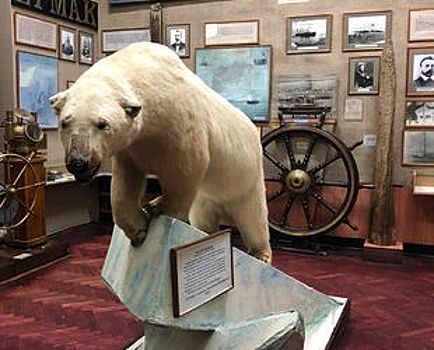 В Петербурге планируют строительство Арктического и Антарктического музея