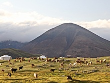 «Аэрофлот» может возобновить рейсы в Улан-Батор