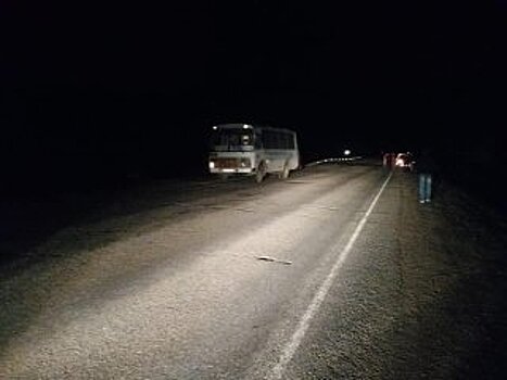 В Башкирии водитель автобуса насмерть сбил 52-летнего мужчину