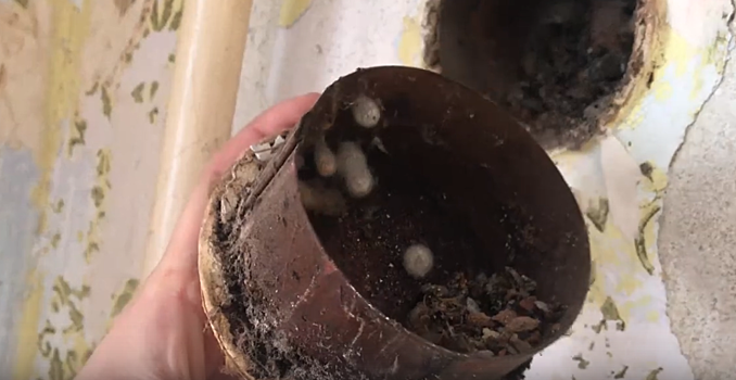 Делом о непригодном жилье для сироты из Еманжелинского района занялся СКР