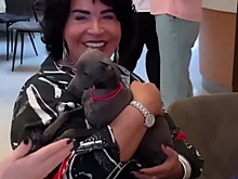 “Знакомьтесь: Топаз Сергеевич”: Надежда Бабкина объявила о пополнении