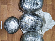 В Воронежской области водитель иномарки замаскировал марихуану под мусор