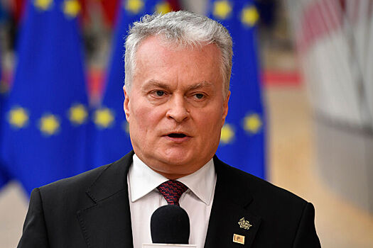 Глава МВД Литвы пожаловалась на своего президента в прокуратуру