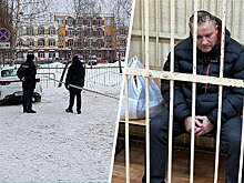 Суд отпустил из СИЗО отца устроившей стрельбу в брянской гимназии школьницы