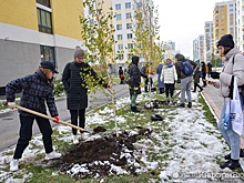 13 в Академическом – к счастью