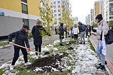 13 в Академическом – к счастью