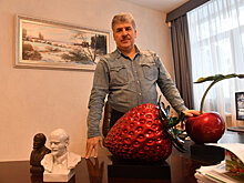 Коммунисты выдвинули капиталиста