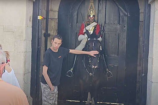 Туристу удалось погладить лошадь королевского гвардейца без последствий