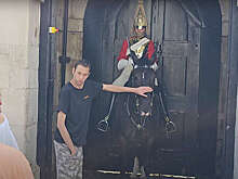 Туристу удалось погладить лошадь королевского гвардейца без последствий