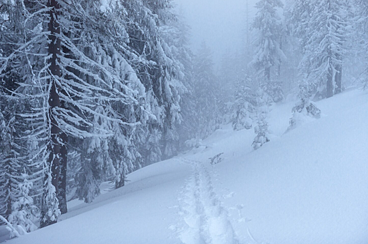 В России нашли самое холодное место на Земле. Где оно находится
