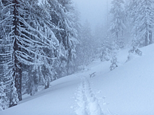 В России нашли самое холодное место на Земле. Где оно находится