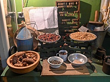 В Ленинградском зоопарке открылась выставка "Зоосад в годы блокады"