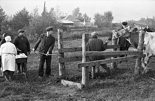 Как в СССР останавливали смертельные эпидемии