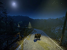 Эхо "Послания к человеку": какие фильмы фестиваля покажут в Москве