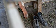 Москвичей призвали сдавать старую обувь на переработку