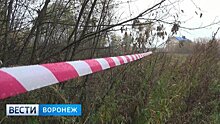 В Воронежской области нашли тело убитой школьницы