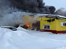 Глава Истры Витушева: на территории агрокомплекса в Духанино загорелся цех