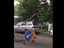 В центре Уфы на «одиннадцатую» накрыло деревом